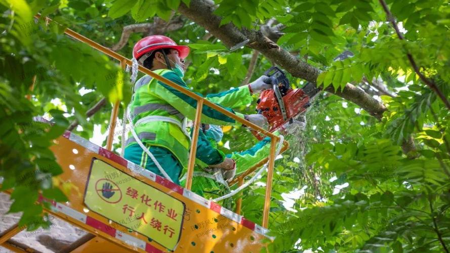 清遠庭院園林綠化工程預算