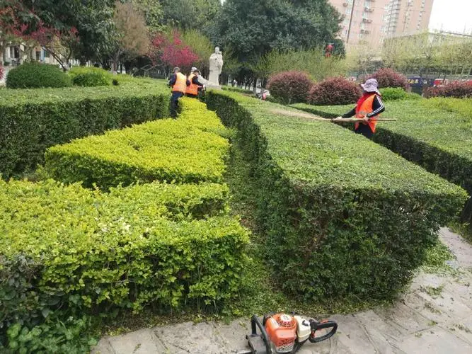 市園林管理問題：綠地缺乏統一規劃與維護導致荒蕪現象加劇