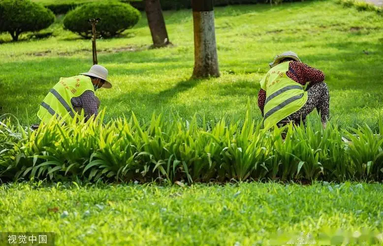 上海公園綠化工程施工隊