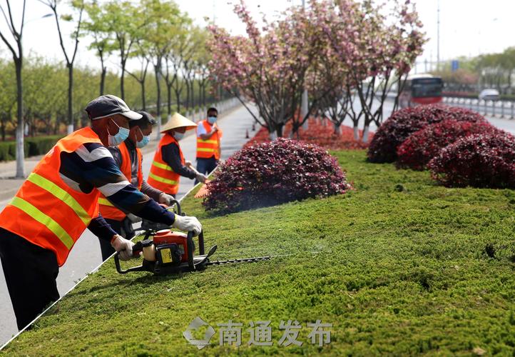 市政道路綠化工程安全管理